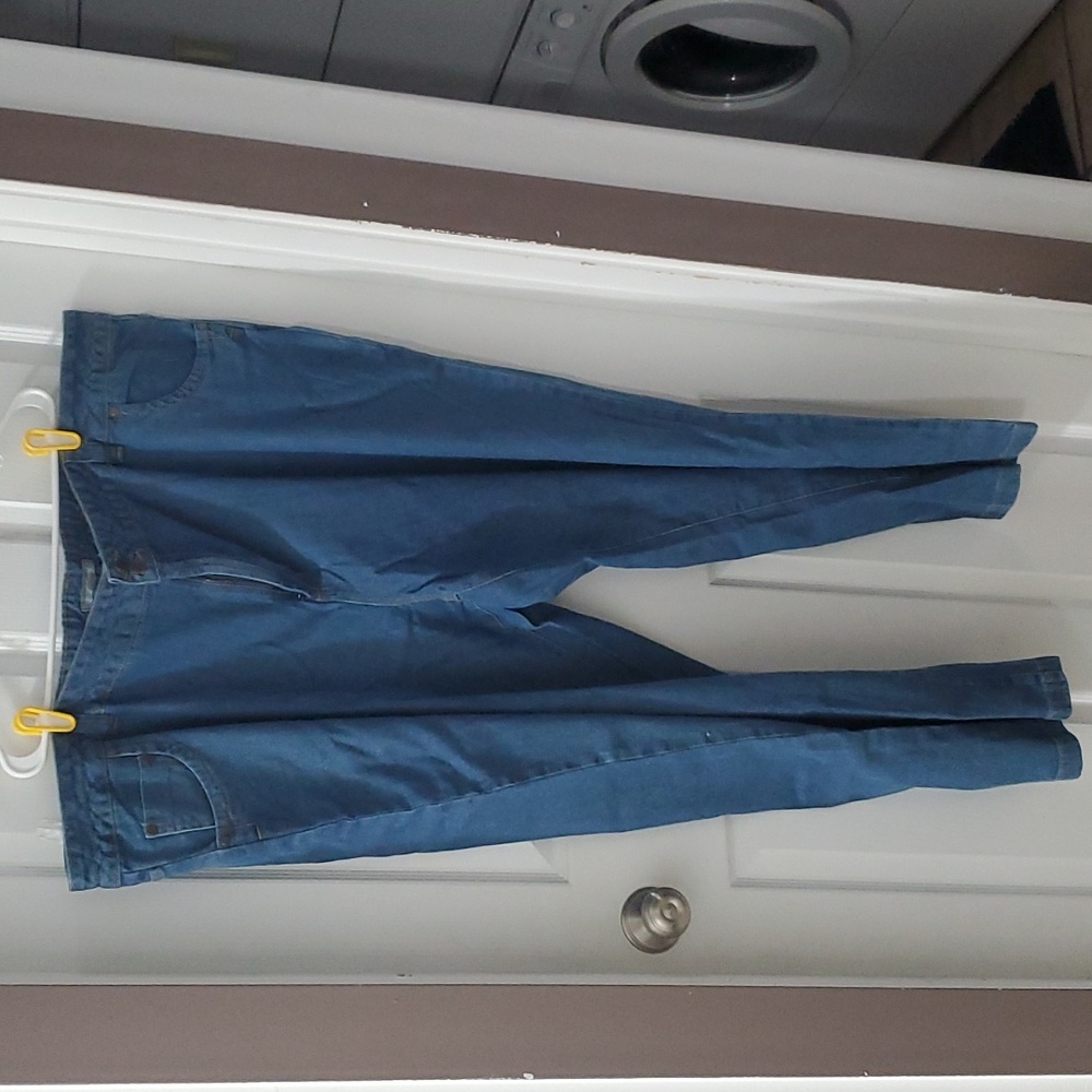 Woman Within Jeans, 32W